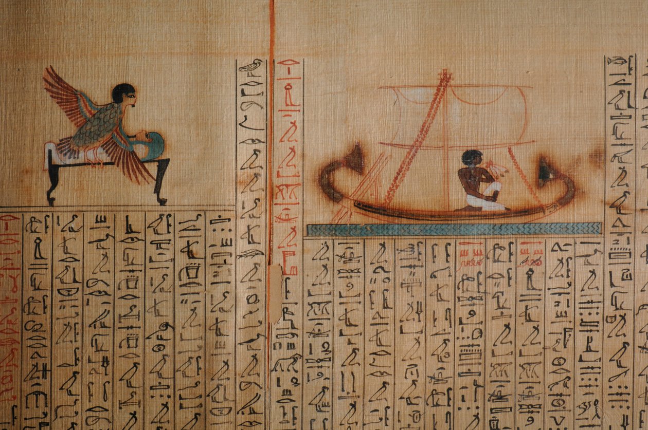 Maiherpri-Papyrus, Totenbuch, aus unberaubtem Grab im Tal der Könige, Maiherpri, 2007 von Kenneth Garrett