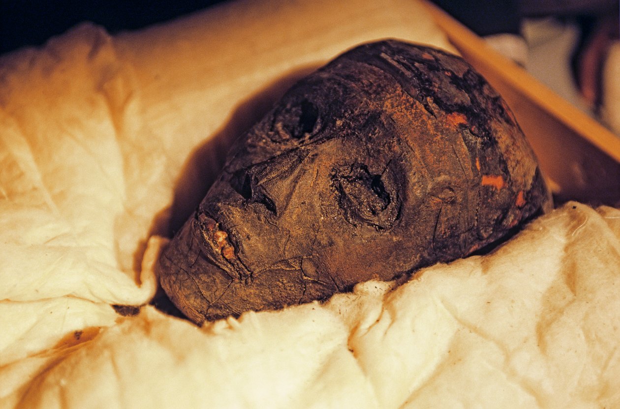 Mumienkopf und Gesicht von König Tutanchamun, 2005 von Kenneth Garrett