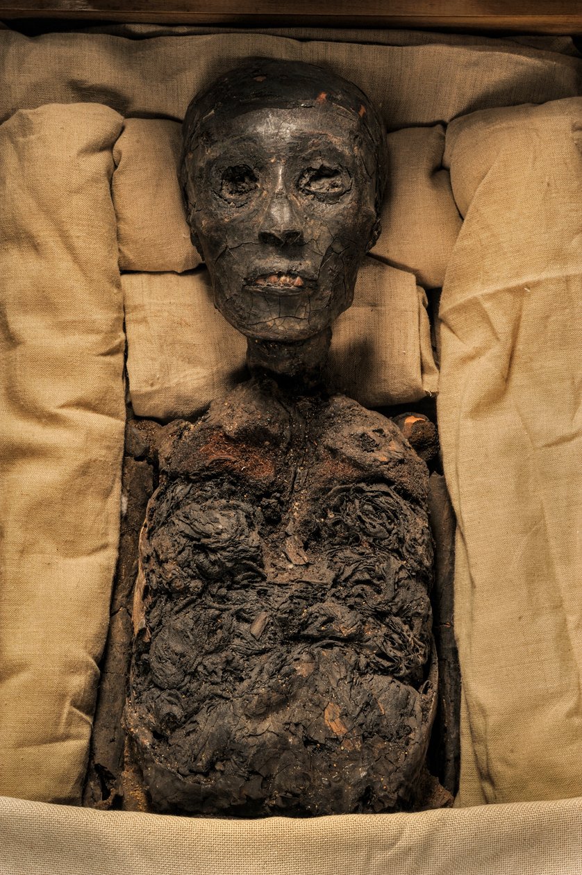 Mumie von König Tut, 18. Dynastie; Neues Reich; das Ägyptische Museum; Kairo; Ägypten, 2005 (Foto) von Kenneth Garrett