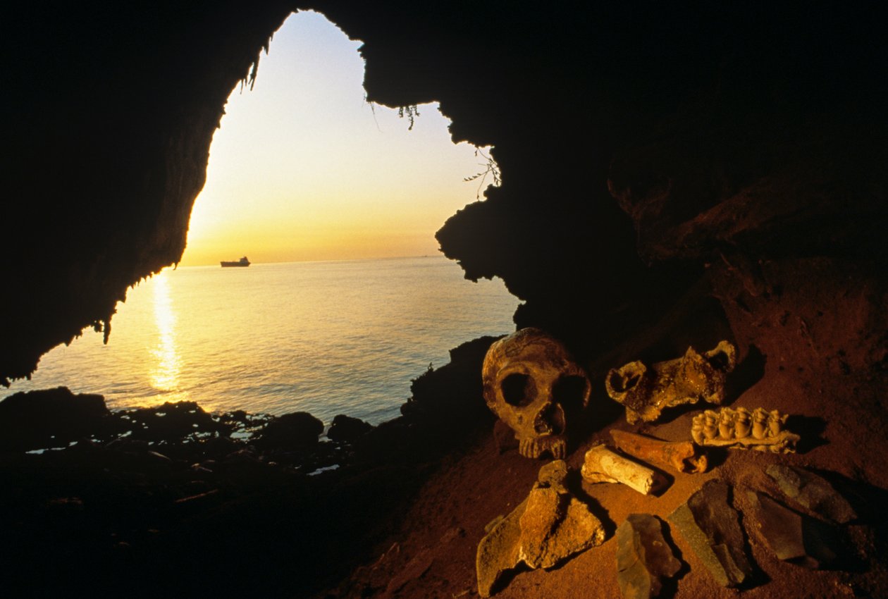 Schädel einer Neandertalerfrau, abgeschlagene Werkzeuge und Knochen eines Ibex - Wildziege, Gibraltar, 2008 (Foto) von Kenneth Garrett