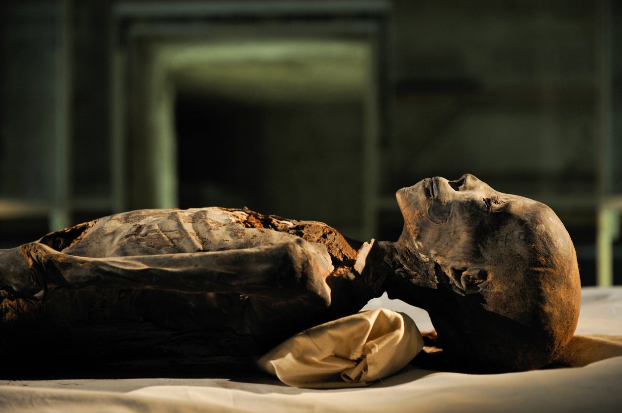 mm7864; 18. Dynastie; Neues Reich; Ägypten; DNA; Probe; Mumie, unbekannte Mumie, 2005 (Foto) von Kenneth Garrett