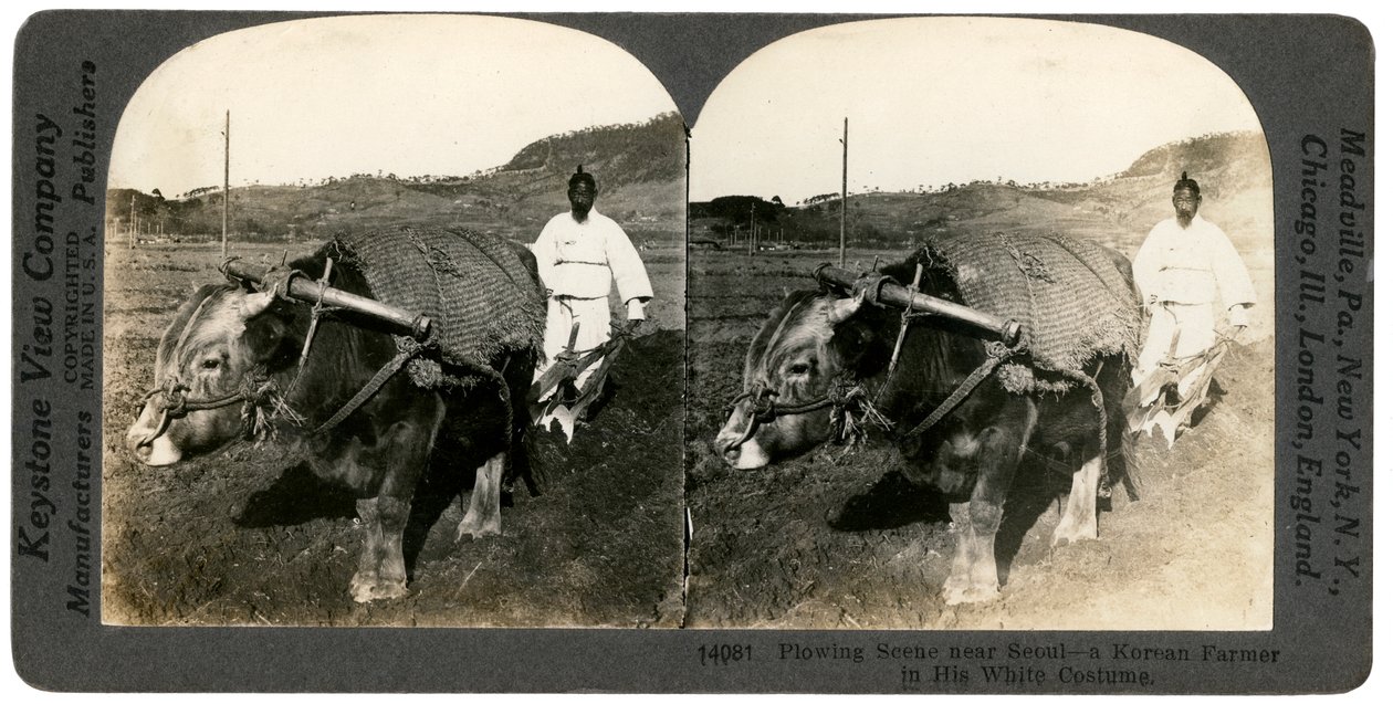Landwirtschaft in der Nähe von Seoul, Südkorea, 1900er Jahre von Keystone View Company