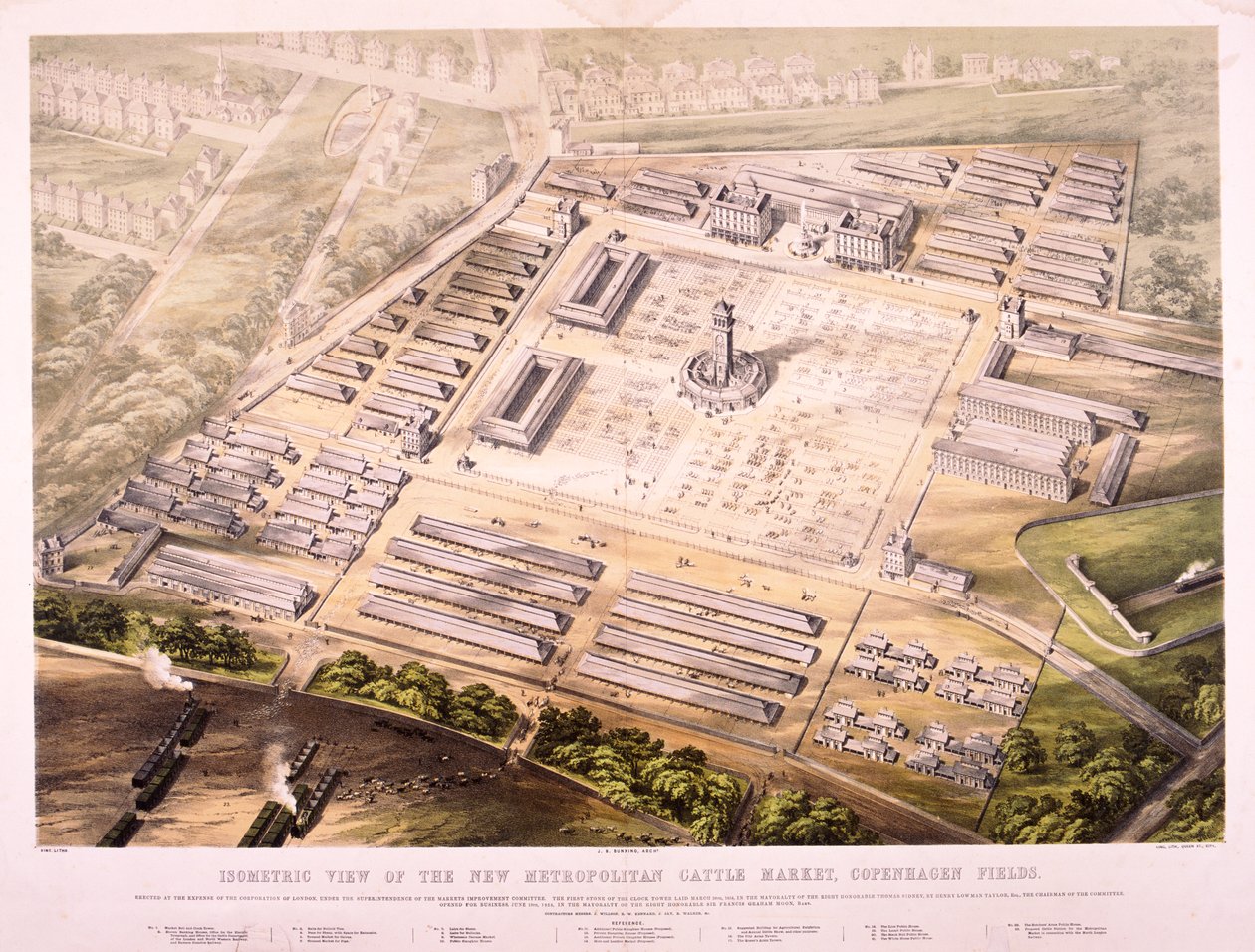 Metropolitan Viehmarkt, London, 1855 von King