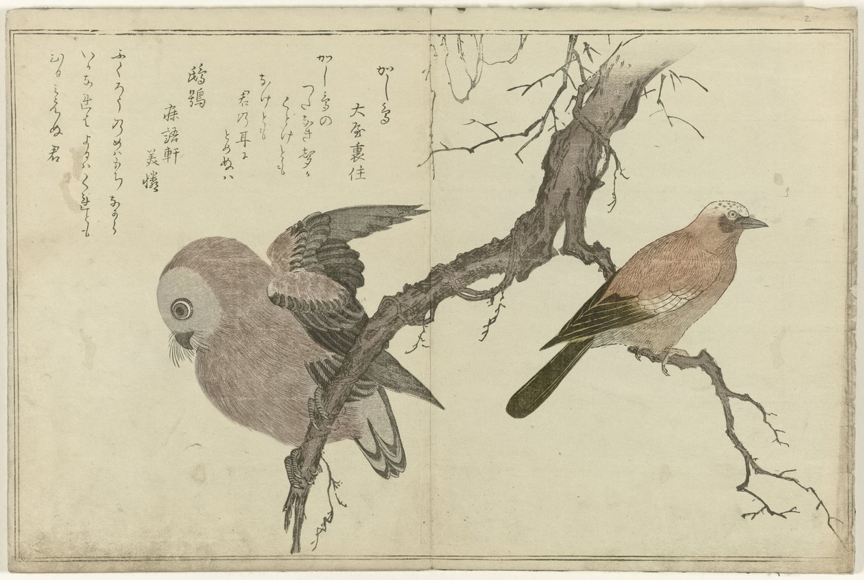 Eichelhäher und Eule von Kitagawa Utamaro