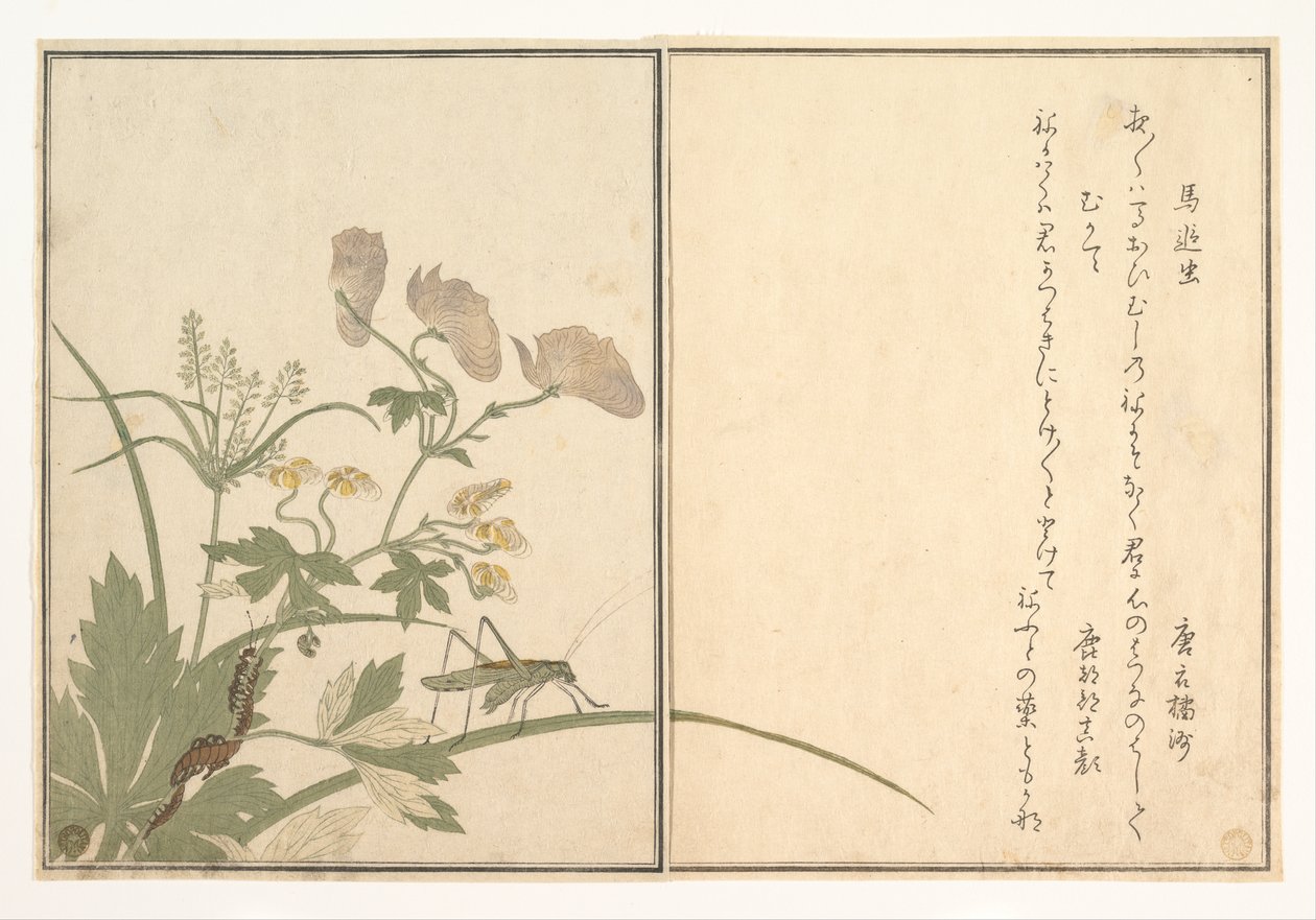 Heuschrecke (Umaoi-mushi); Tausendfüßler (Mukade), aus dem Bilderbuch der kriechenden Kreaturen (Ehon mushi erami) von Kitagawa Utamaro