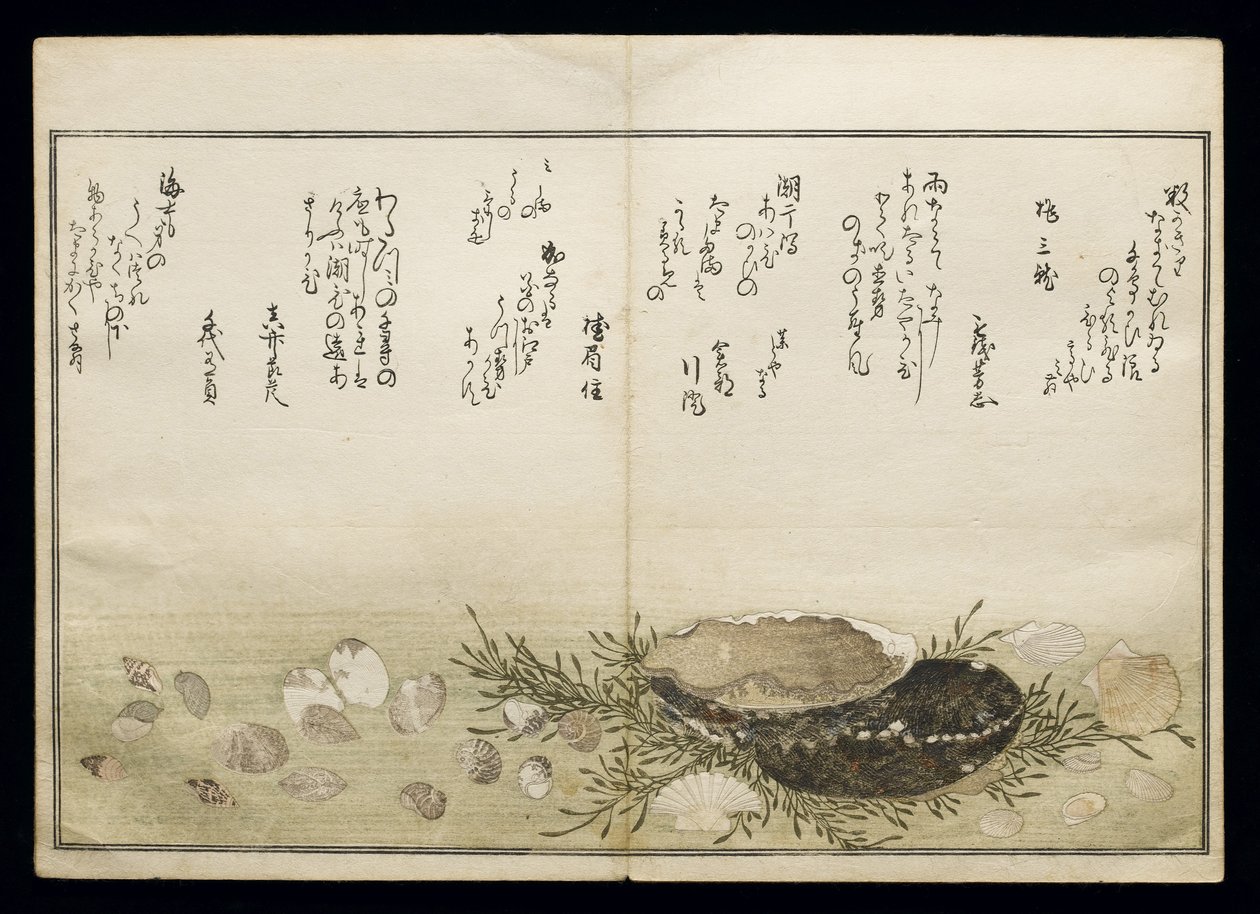 Shiohi no tsuto (Geschenke von der Ebbe), bekannt als das Muschelbuch, 1789 von Kitagawa Utamaro