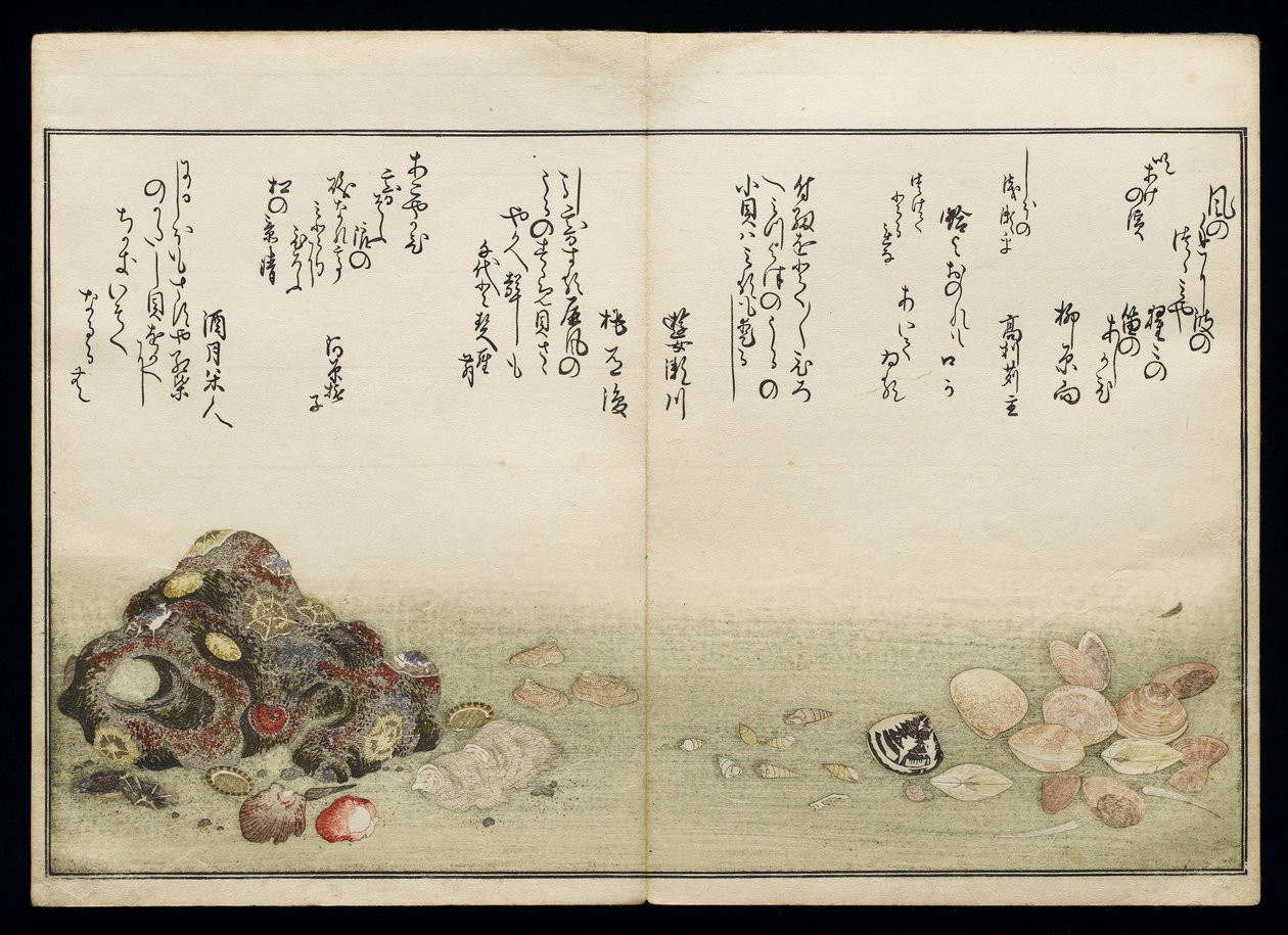 Shiohi no tsuto (Geschenke von der Ebbe), bekannt als das Muschelbuch, 1789 von Kitagawa Utamaro