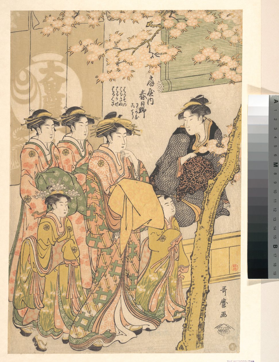 Die Oiran Kasugano von Ogiya auf Parade unter blühenden Kirschbäumen von Kitagawa Utamaro