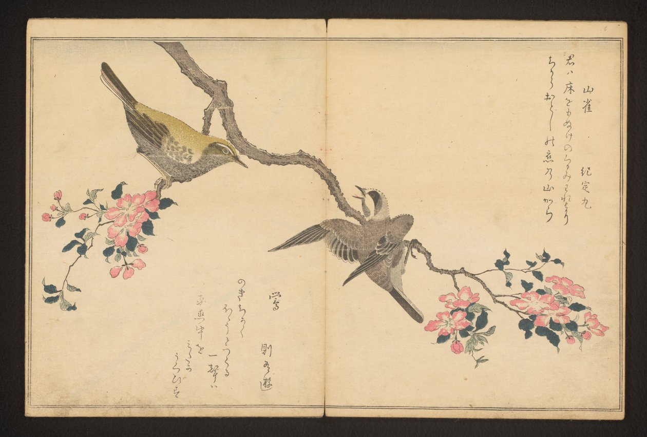Meise und Buschrohrsänger von Kitagawa Utamaro