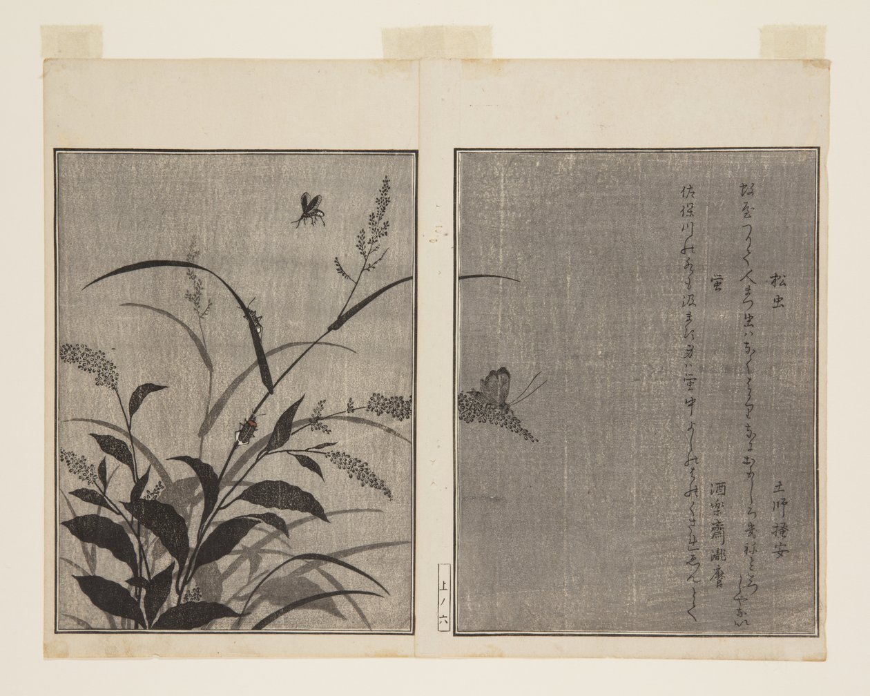 Baumgrille (Matsumushi) und Glühwürmchen (Hotaru) von Kitagawa Utamaro