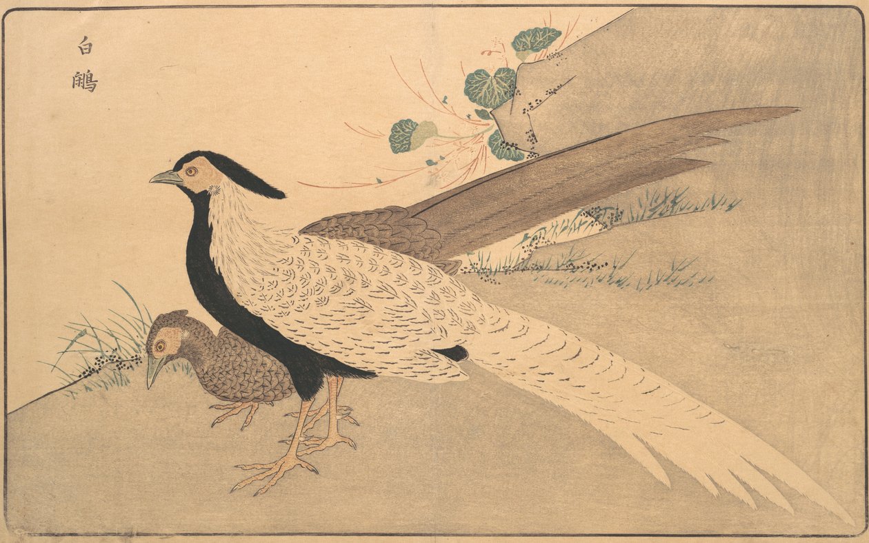 Bai xian, 1789 von Kitao Masayoshi