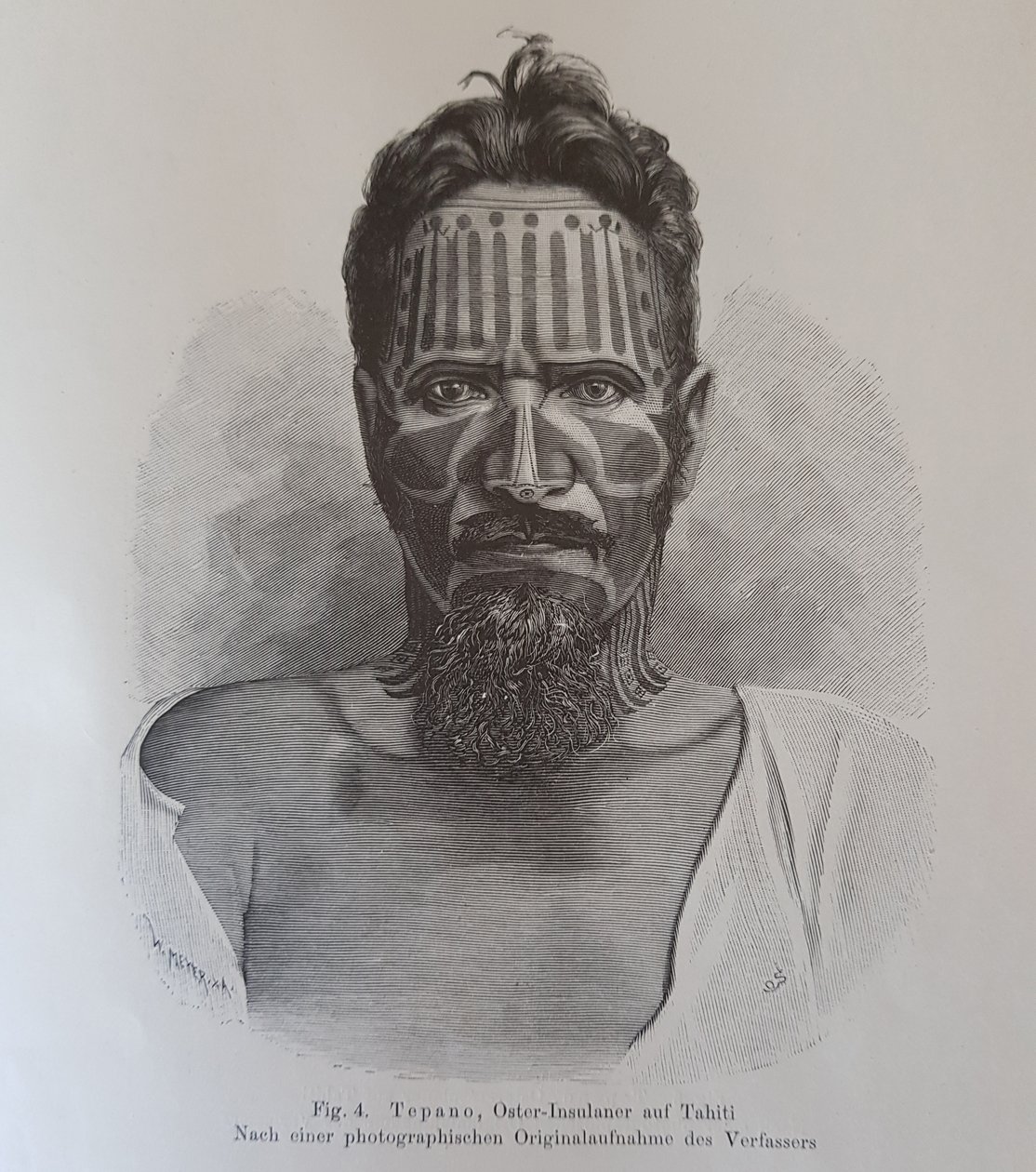 Juan Tepano, Illustration aus „Über die Tätowierung der Oster-Insulaner“ von Hjalmar Stolpe von Knut Hjalmar (after) Stolpe