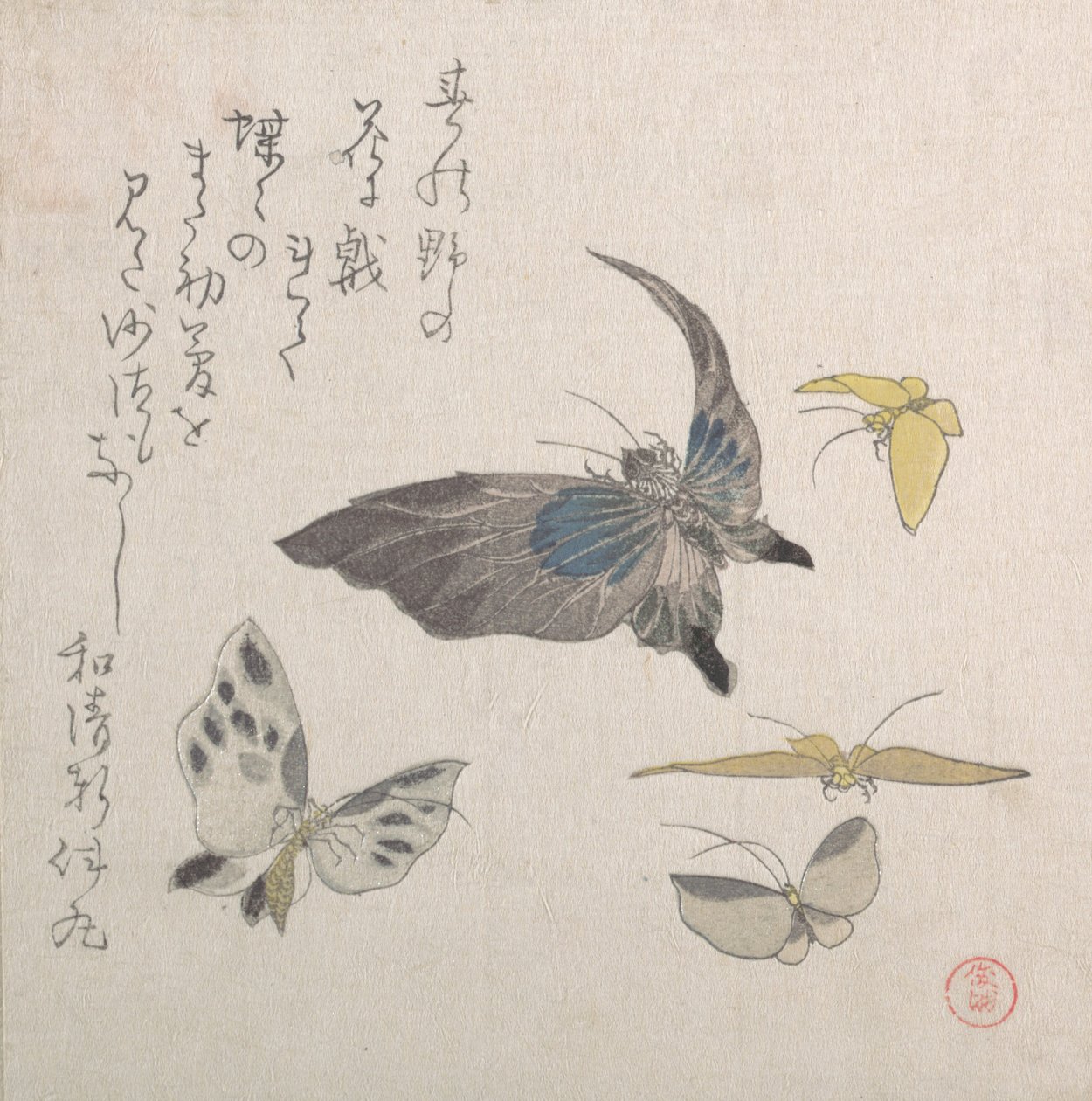 Schmetterlinge, 19. Jahrhundert von Kubo Shunman
