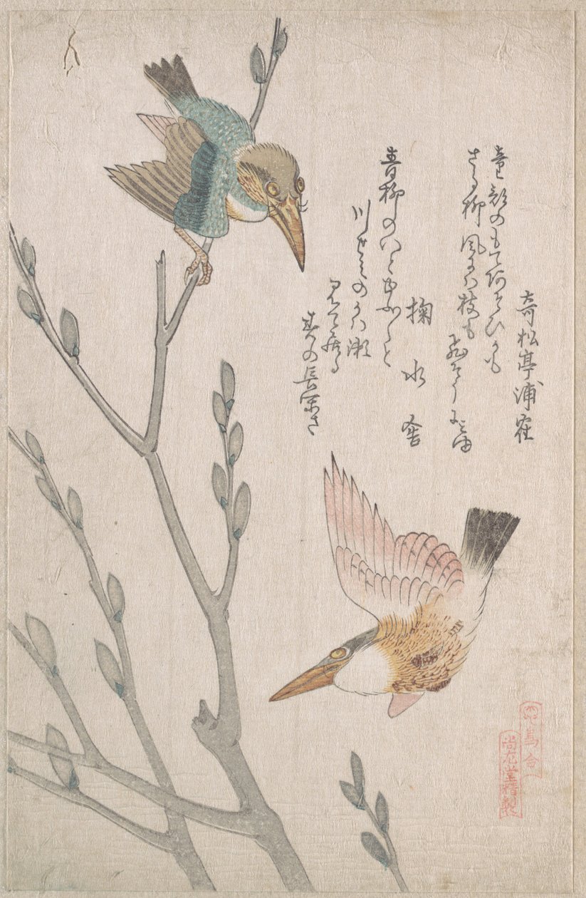Eisvögel und Weidenkätzchen von Kubo Shunman