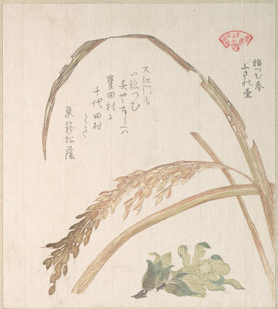 Reispflanze und Pestwurz von Kubo Shunman