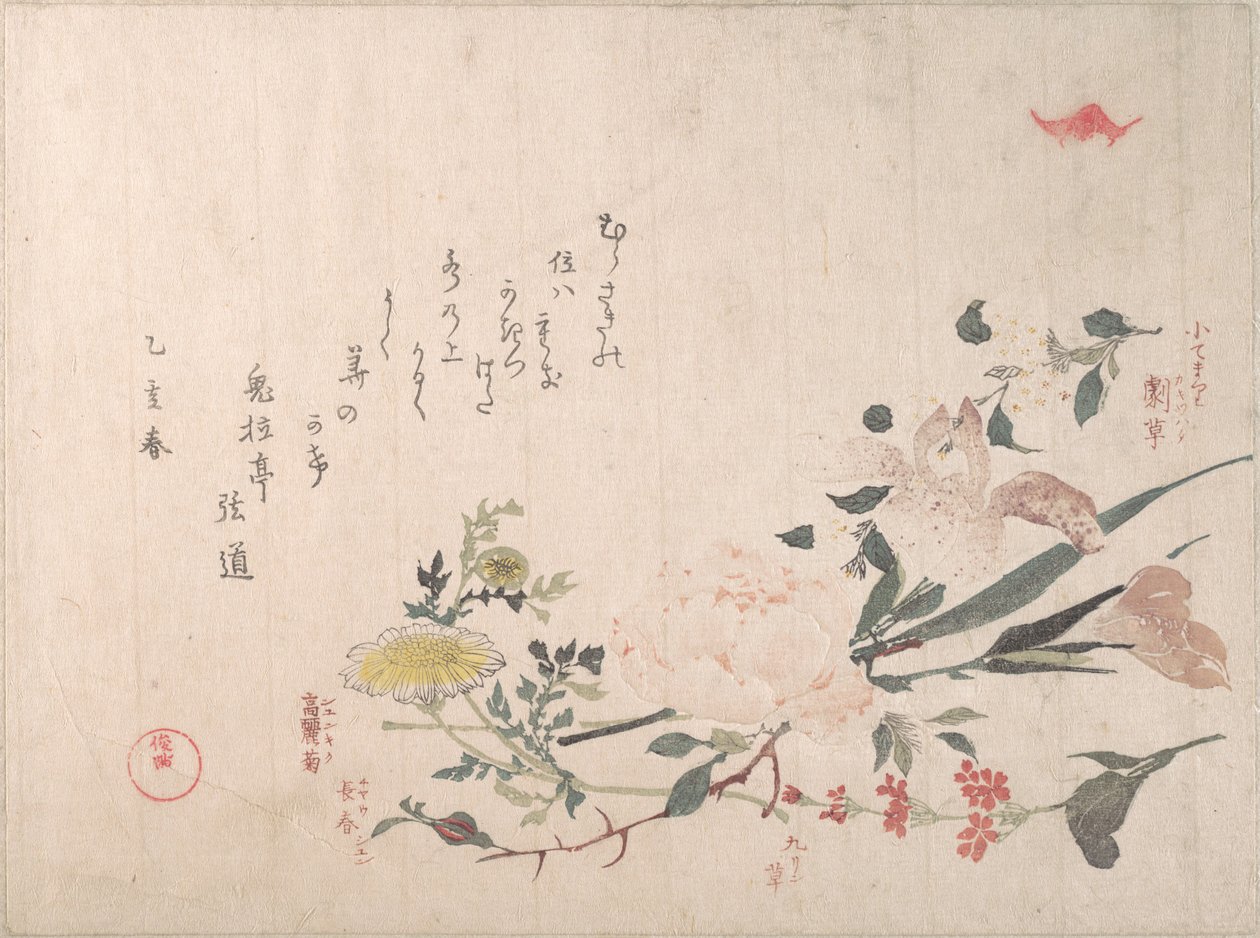 Rose, Iris, Primel und Gänseblümchen von Kubo Shunman