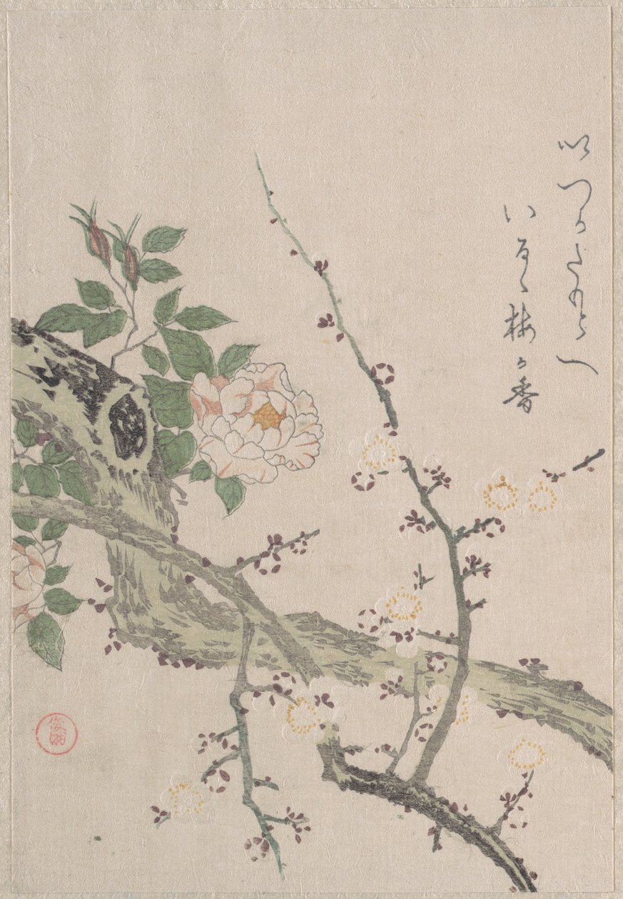 Rosen und Pflaumenblüten von Kubo Shunman