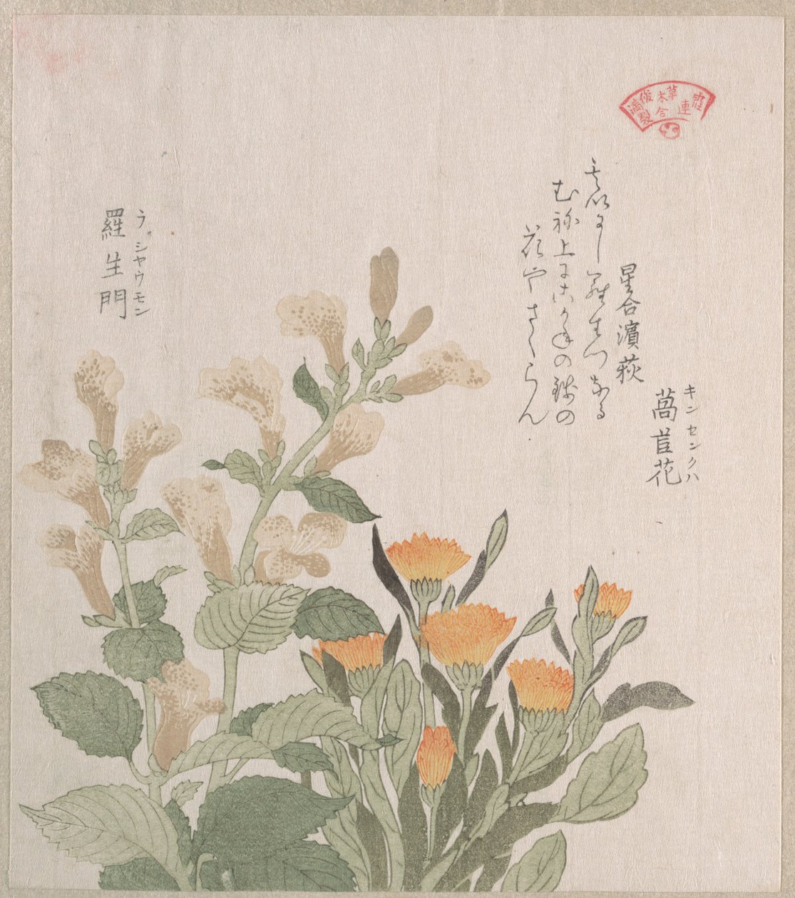 Die Gemeine Ringelblume und Die Rajoman-Blumen von Kubo Shunman