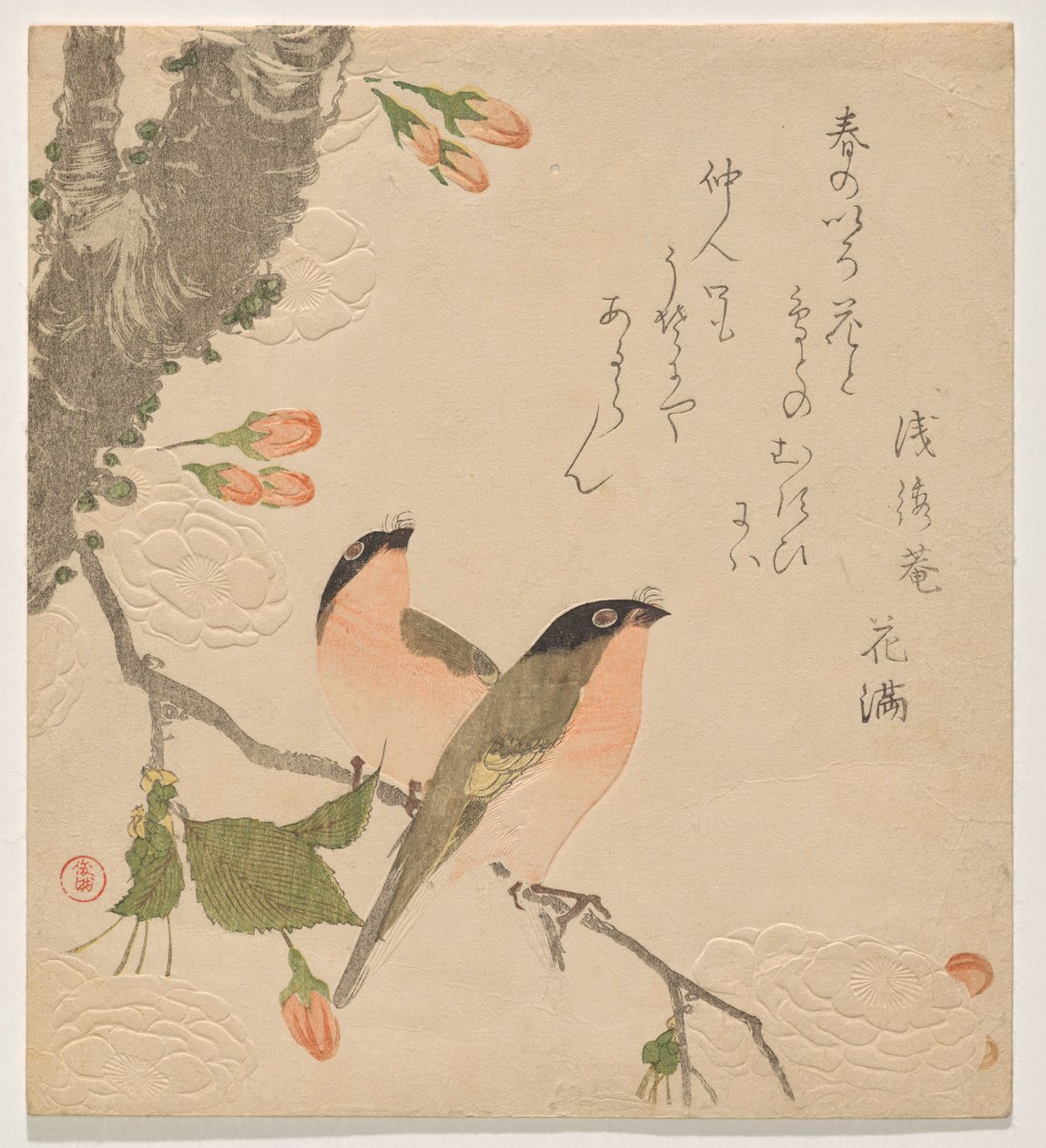 Zwei Gimpel auf einem doppelt gefüllten Kirschbaum (Uso ni Yae-zakura) von Kubo Shunman