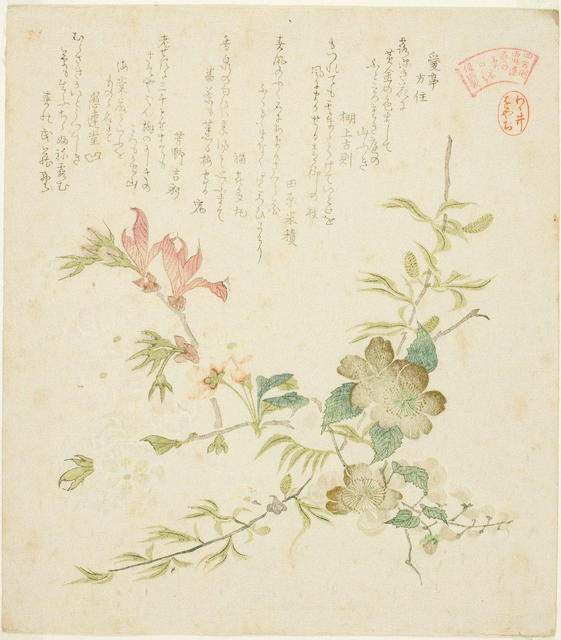 Verschiedene Frühlingsblumen, aus der Serie "Frühlingspflanzen und -bäume für den Kasumi-Dichtkreis der Yomo-Gruppe (Yomogawa Kasumi-ren haru no kusaki no uchi)" von Kubo Shunman