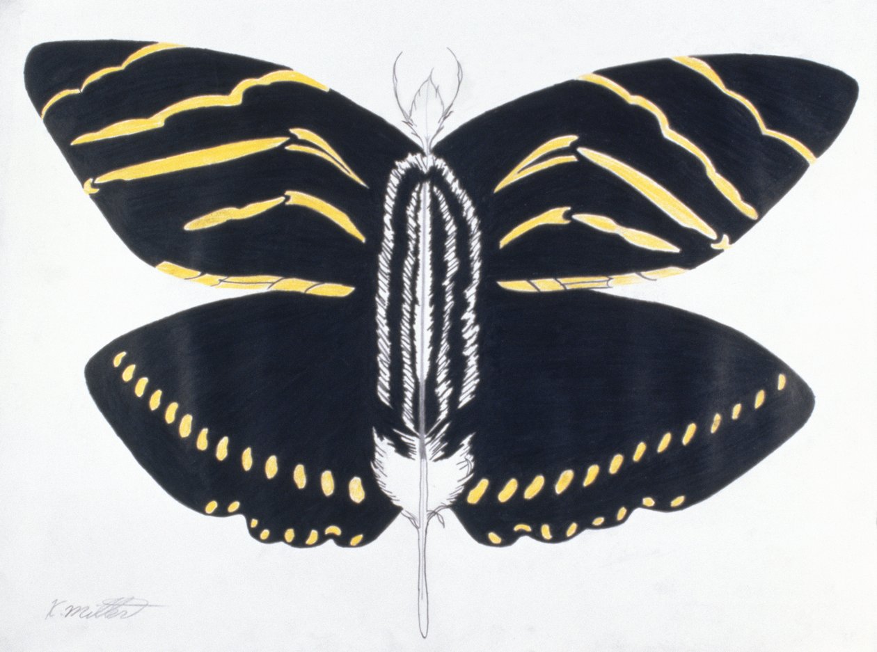 Gefiederter Schmetterling, 2004 von Kurtis L. Miller