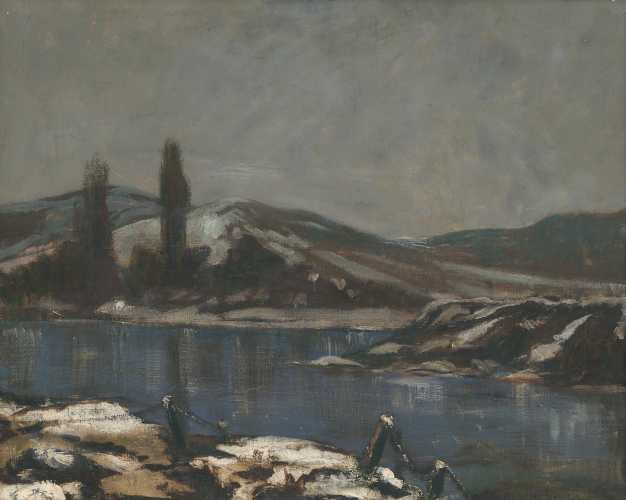 Landschaft von Považská von Laszlo Mednyanszky
