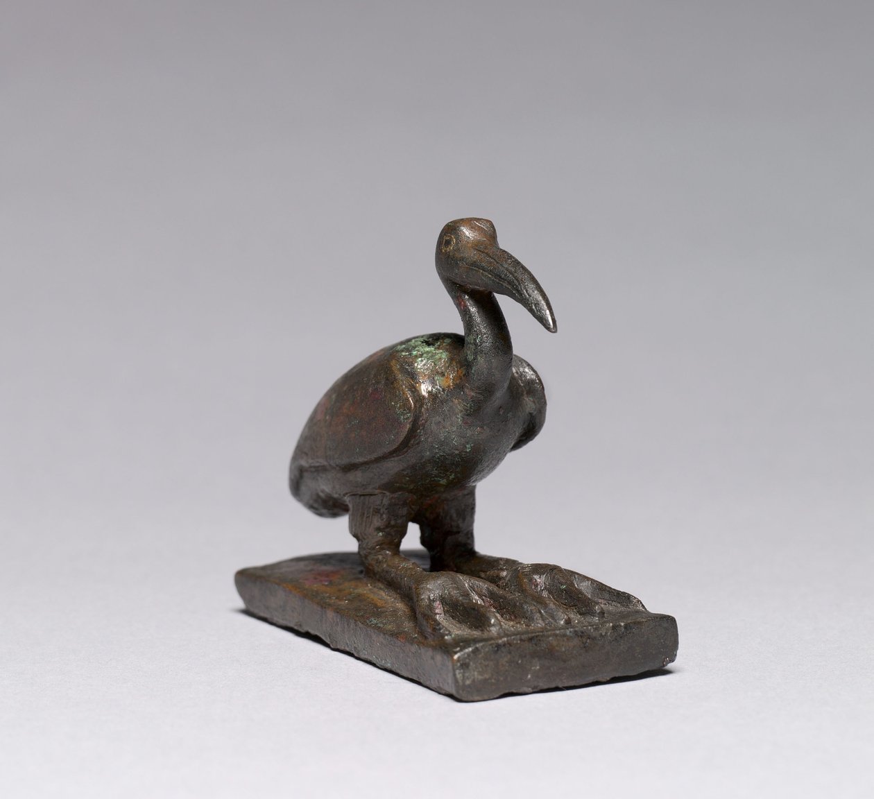 Ibis, 664-30 v. Chr. von Late Period Egyptian
