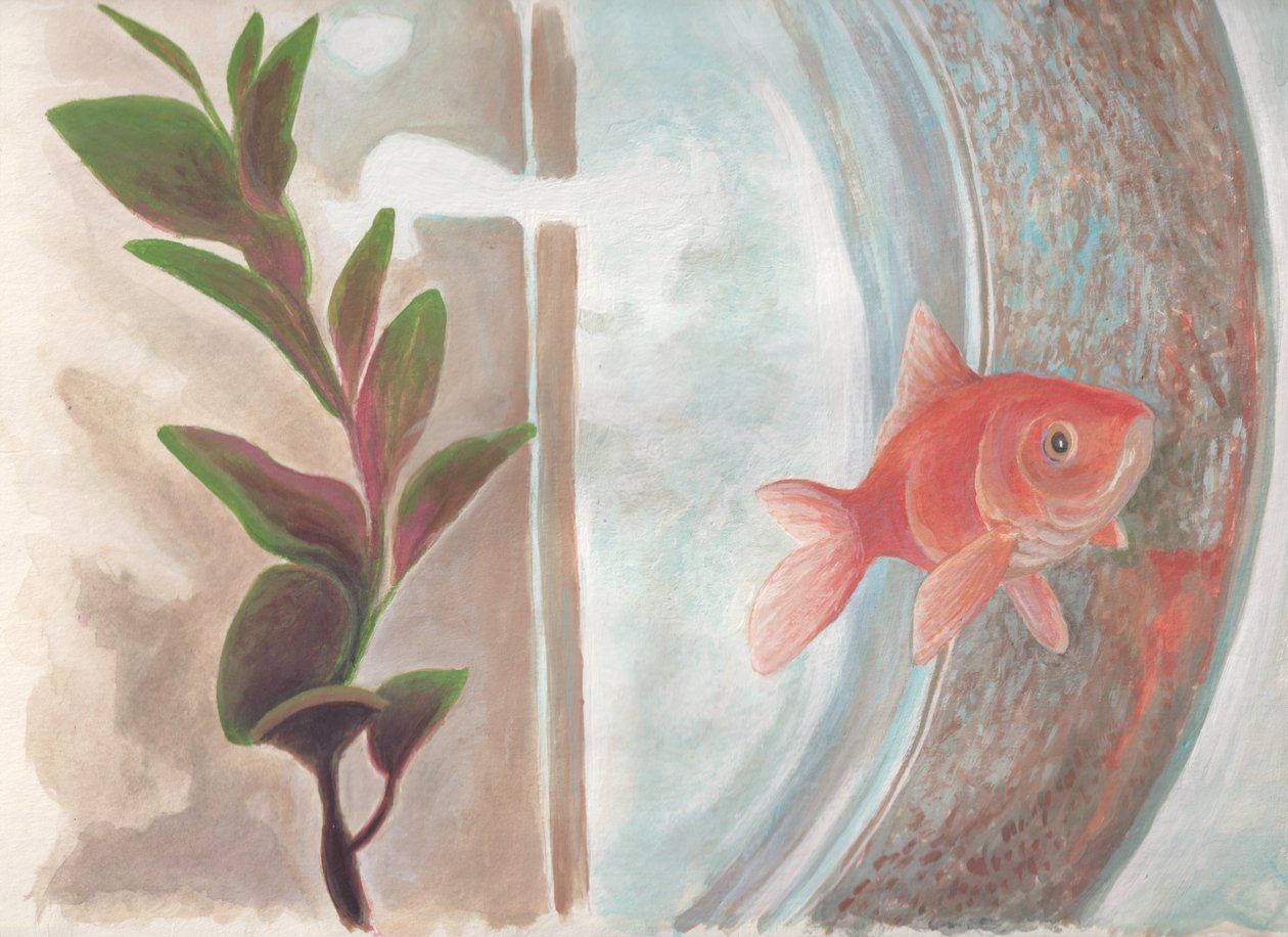 Gänseblümchen, ca. 2016 von Laurie Michaels