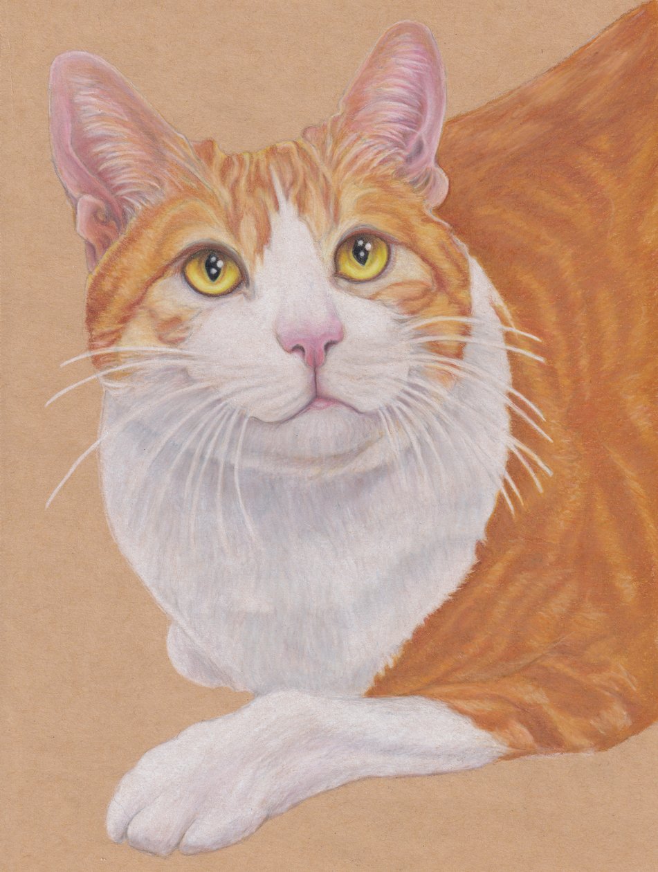 Dax, ca. 2024 von Laurie Michaels