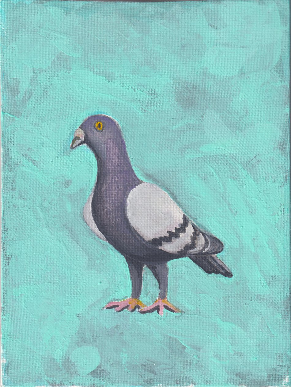 Taube, c.2023 von Laurie Michaels