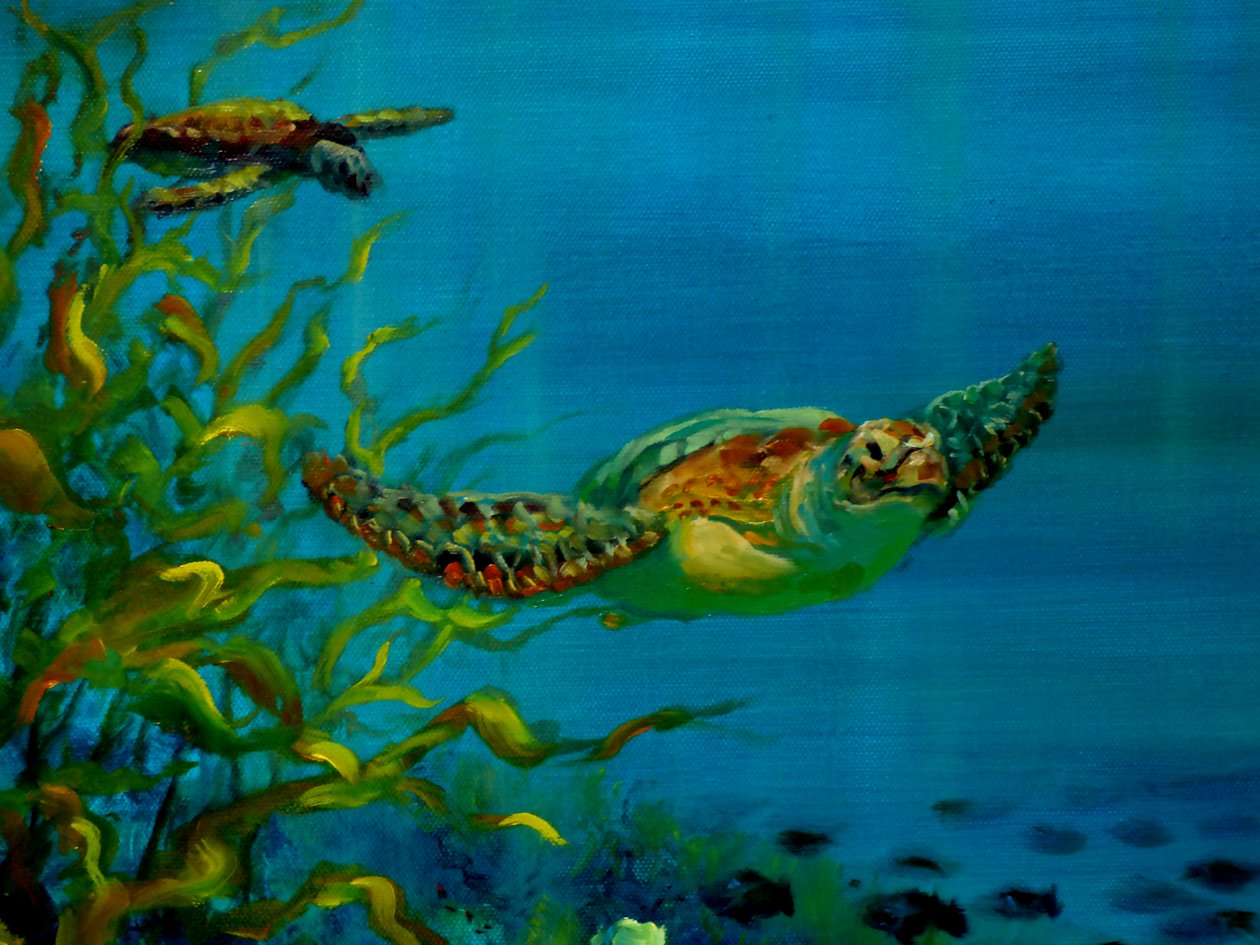 Grüne Schildkröte, 2018 von Lee Campbell