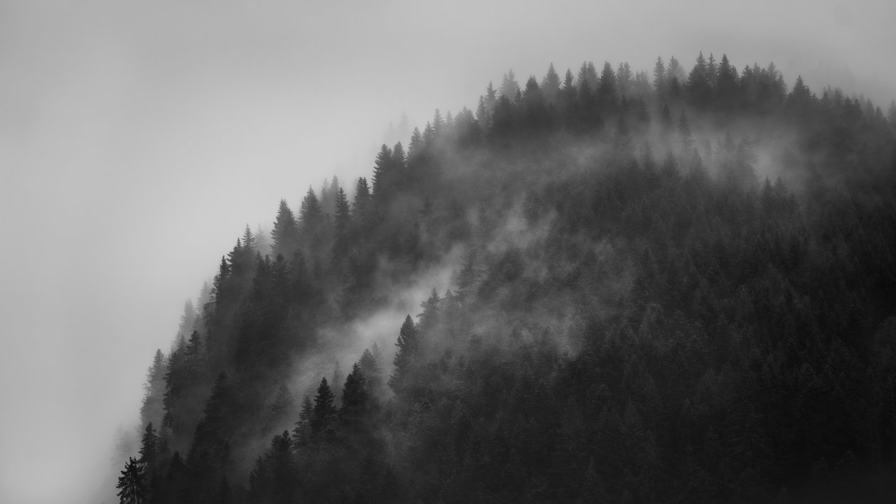 Greenwitch-Weg von Lee Cooper