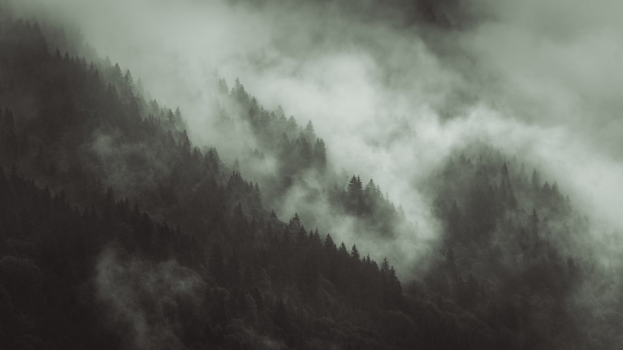 Verwirrt von Lee Cooper