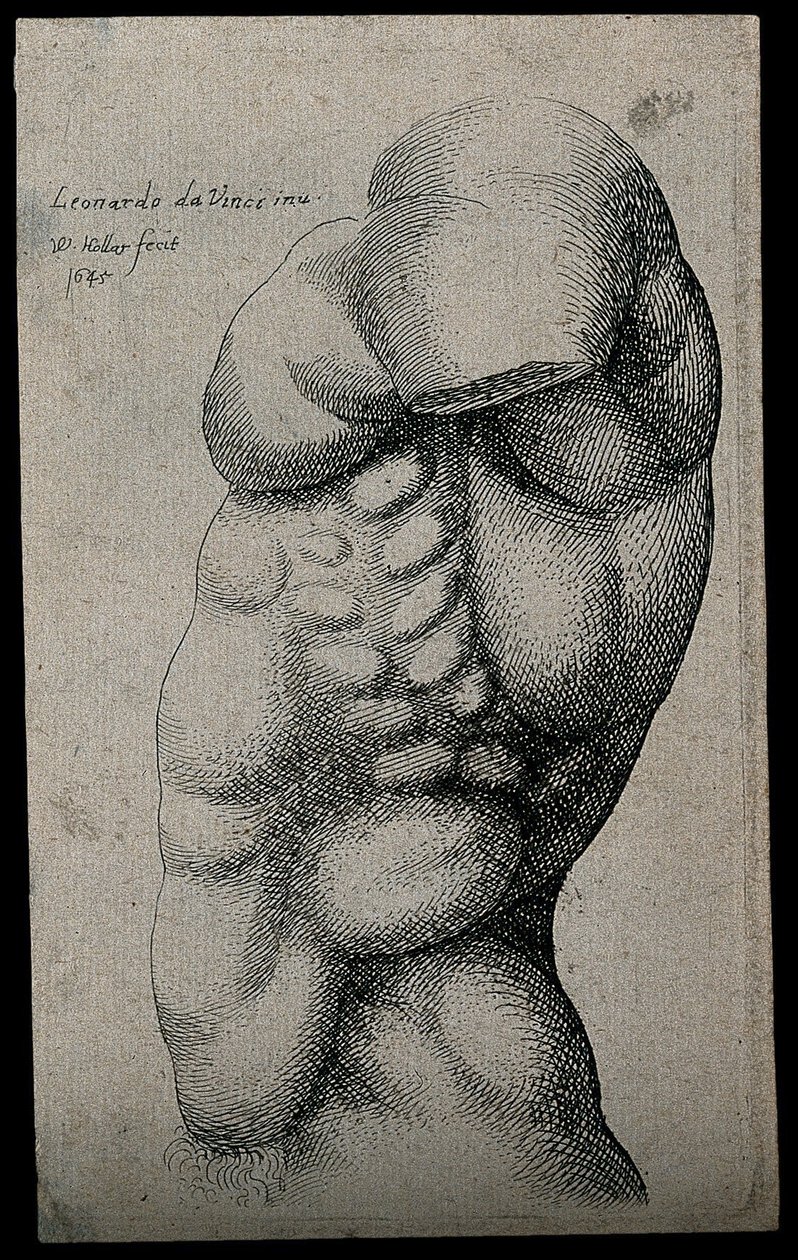Männlicher Torso ohne Arm von Leonardo da Vinci