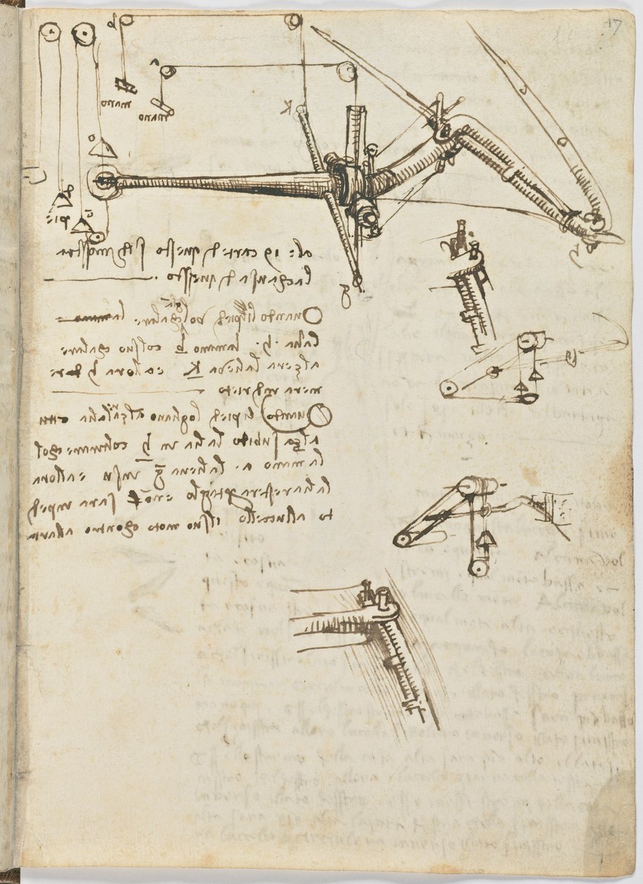 Flug der Vögel, c. 1505-06, Manuskript, Blatt 17 (recto) von Leonardo da Vinci