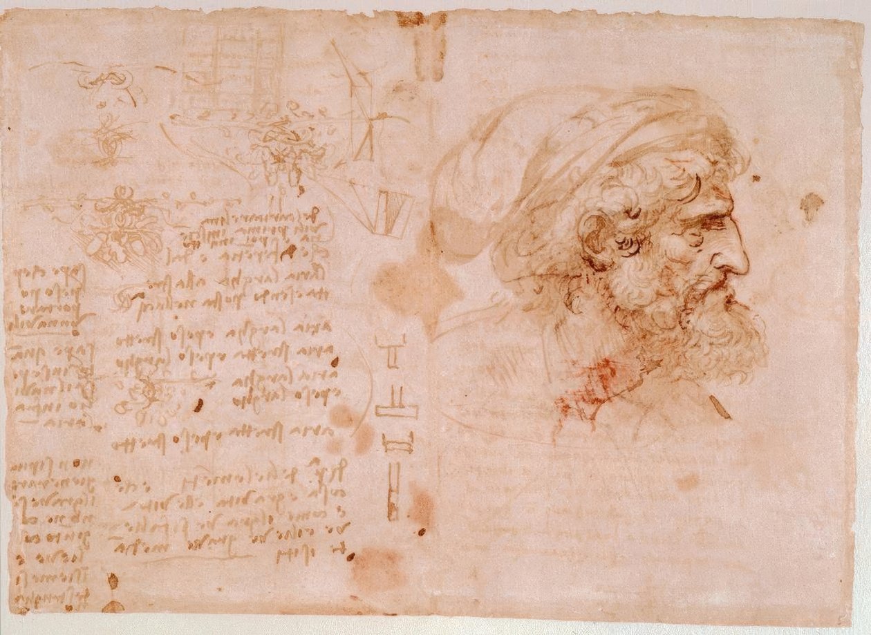Blattornamentstudien / Profilbildnis eines alten Mannes... von Leonardo da Vinci