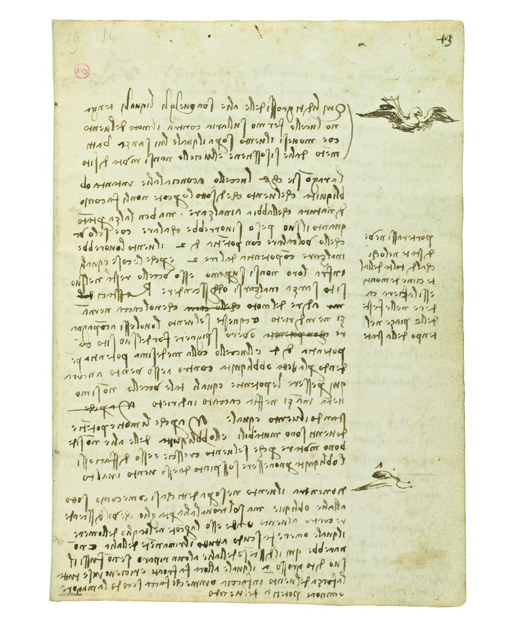 Codex über den Vogelflug, Folio 13 recto von Leonardo da Vinci