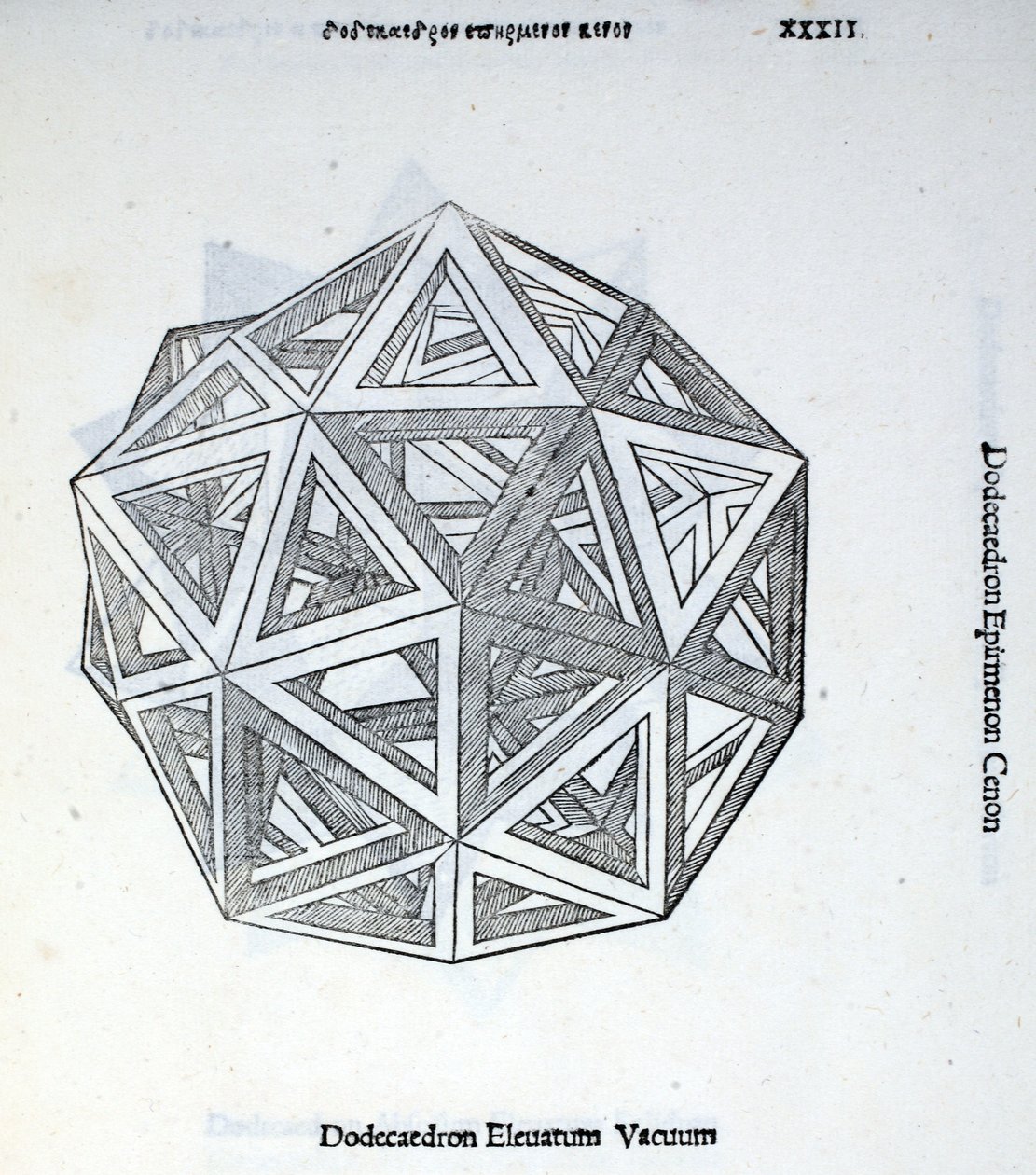 Dodecaedron elevatum vacuum, Illustration aus 