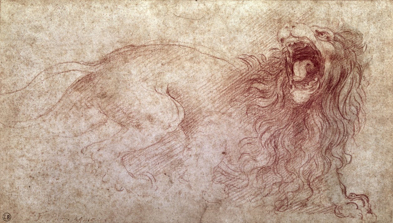 Skizze eines brüllenden Löwen von Leonardo da Vinci