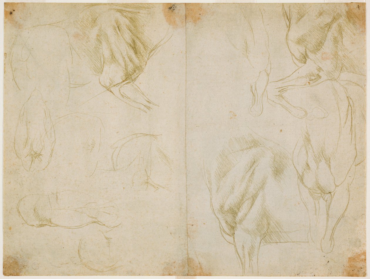 Studien zur Muskulatur der Vordergliedmaßen des Pferdes, ca. 1480 von Leonardo da Vinci