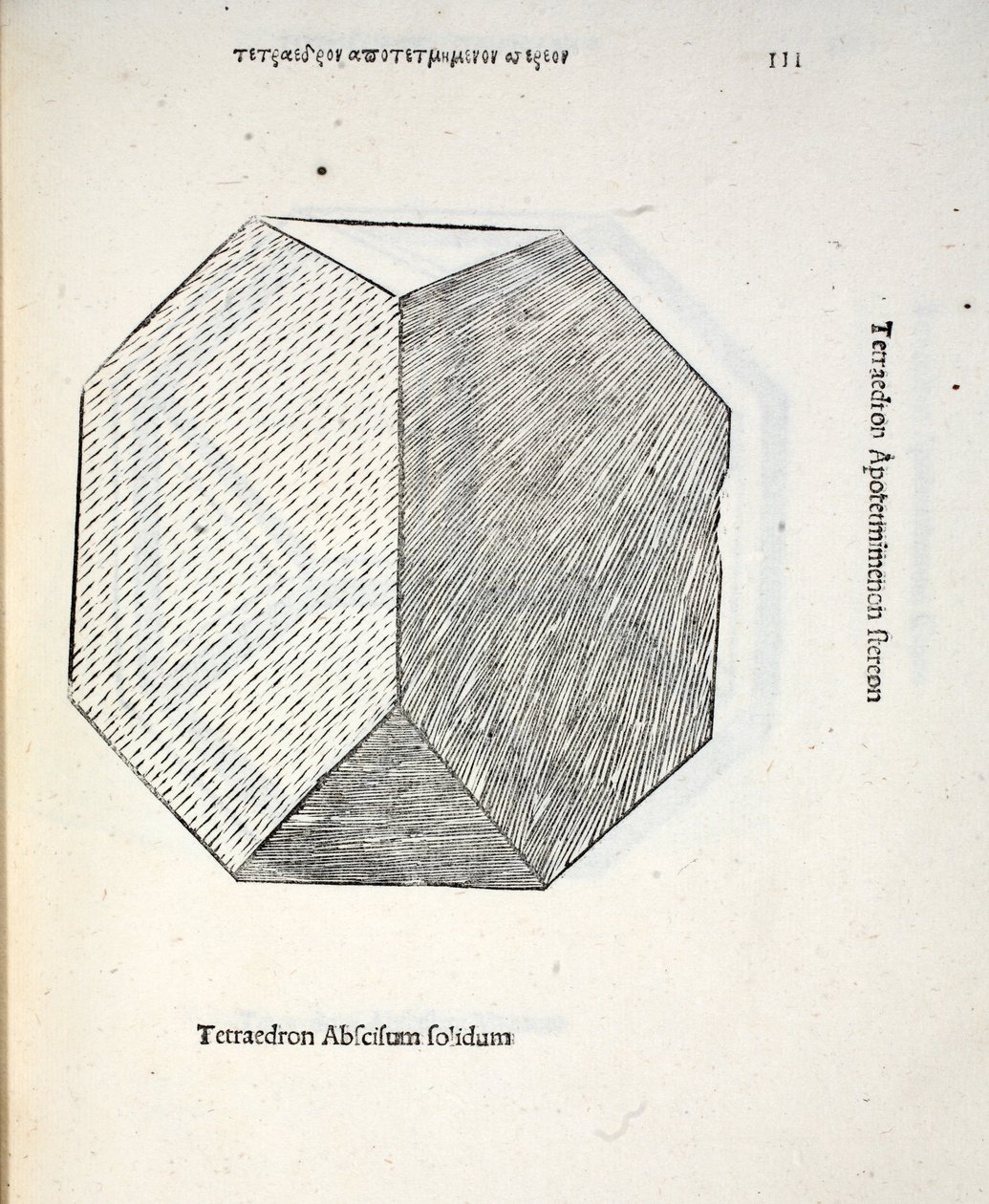Tetraedron abscisum solidum, Illustration aus 