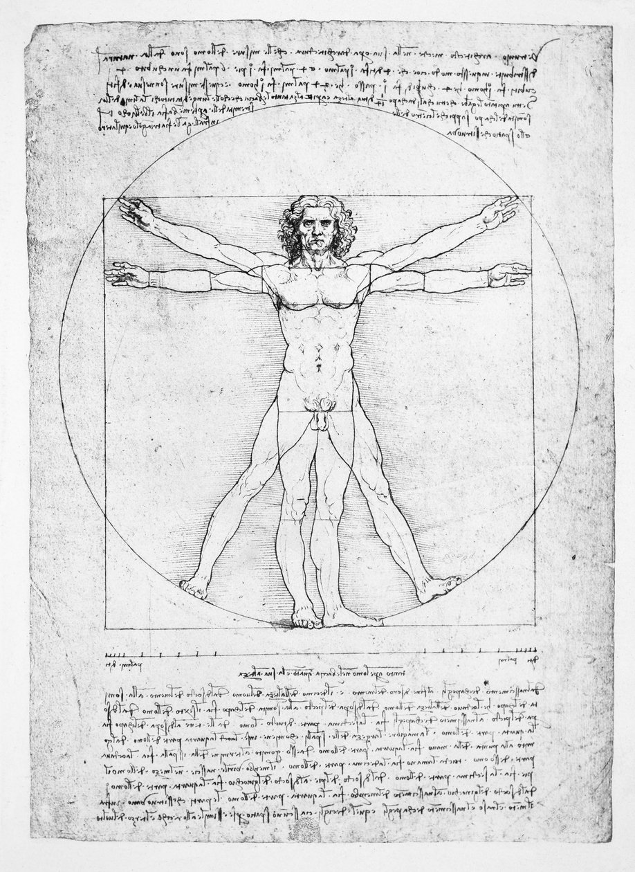 Die Proportionen der menschlichen Figur (nach Vitruv), ca. 1492 von Leonardo da (after) Vinci