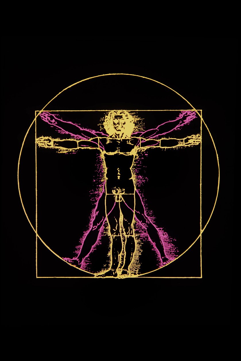 Vitruvianischer Mensch von Leonardo da Vinci von Leonardo da (after) Vinci