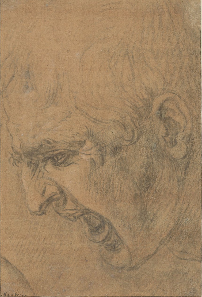 Kopf eines schreienden Mannes von Leonardo da (follower of) Vinci