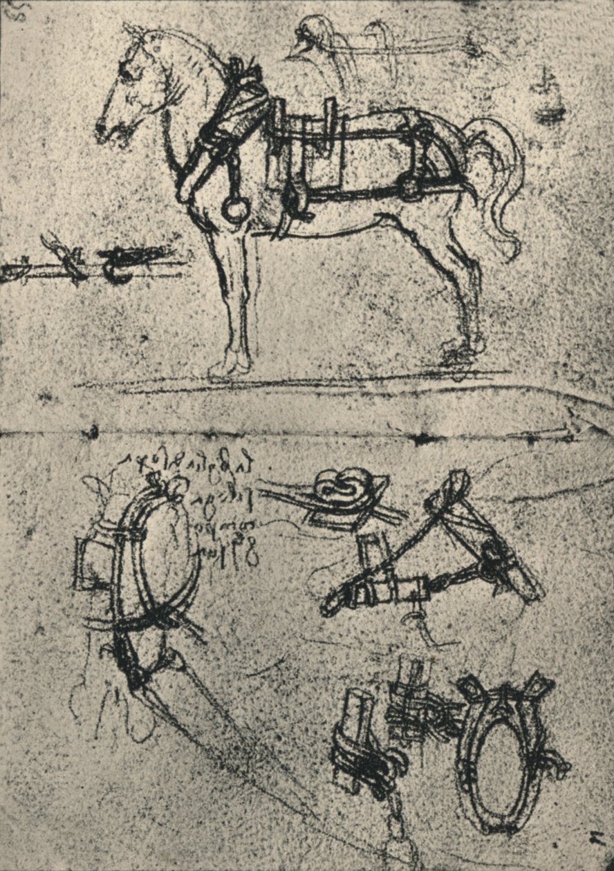 Ein angespanntes Kutschpferd und Studien des Geschirrs, um 1480, 1945 von Leonardo da Vinci
