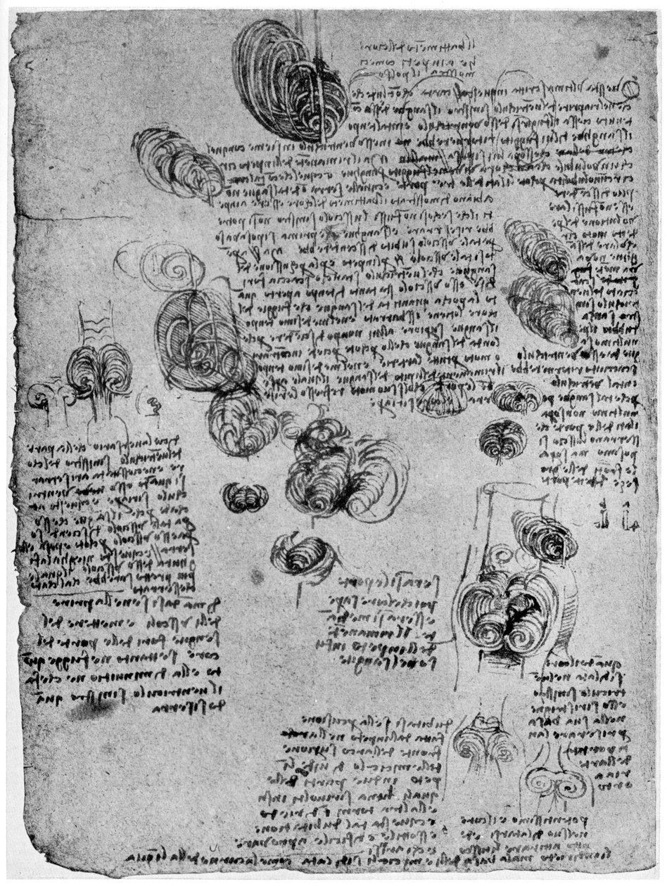 Diagramm des Blutwirbels im Herzen, spätes 15. oder frühes 16. Jahrhundert, 1954 von Leonardo da Vinci