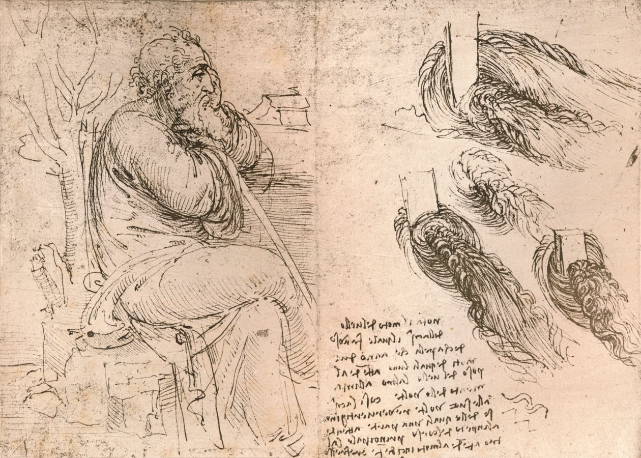 Zeichnung zur Darstellung von herabfallendem lockigem Haar, ca. 1472-ca. 1519 1883 von Leonardo da Vinci
