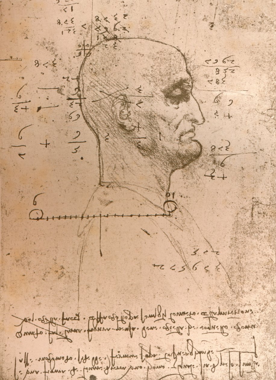 Zeichnung des Kopfes eines Kriminellen, um 1472-1519, 1883 von Leonardo da Vinci