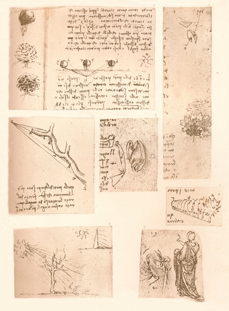 Fünf Zeichnungen, die die Elemente der Landschaftsmalerei illustrieren, um 1472-1519, 1883 von Leonardo da Vinci
