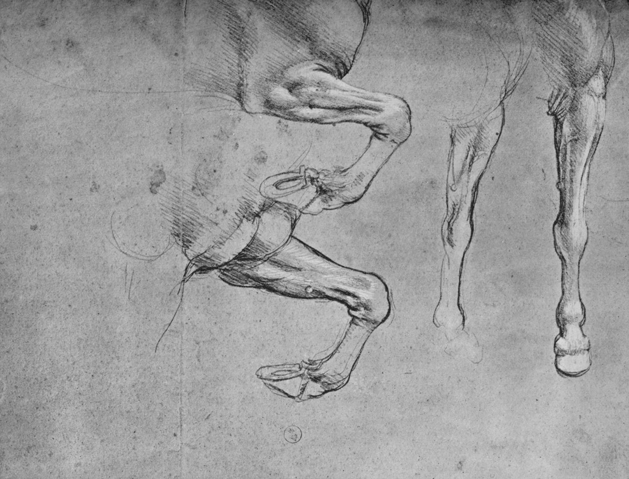 Vier Studien von Pferdebeinen, ca. 1480 von Leonardo da Vinci